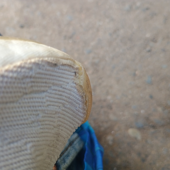 Adidas nmd cs2 white shoes 9 - Picture 12 of 12